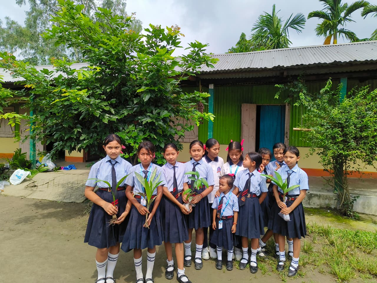Sapling Plantation Drive